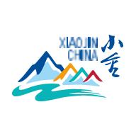 纯净小金app