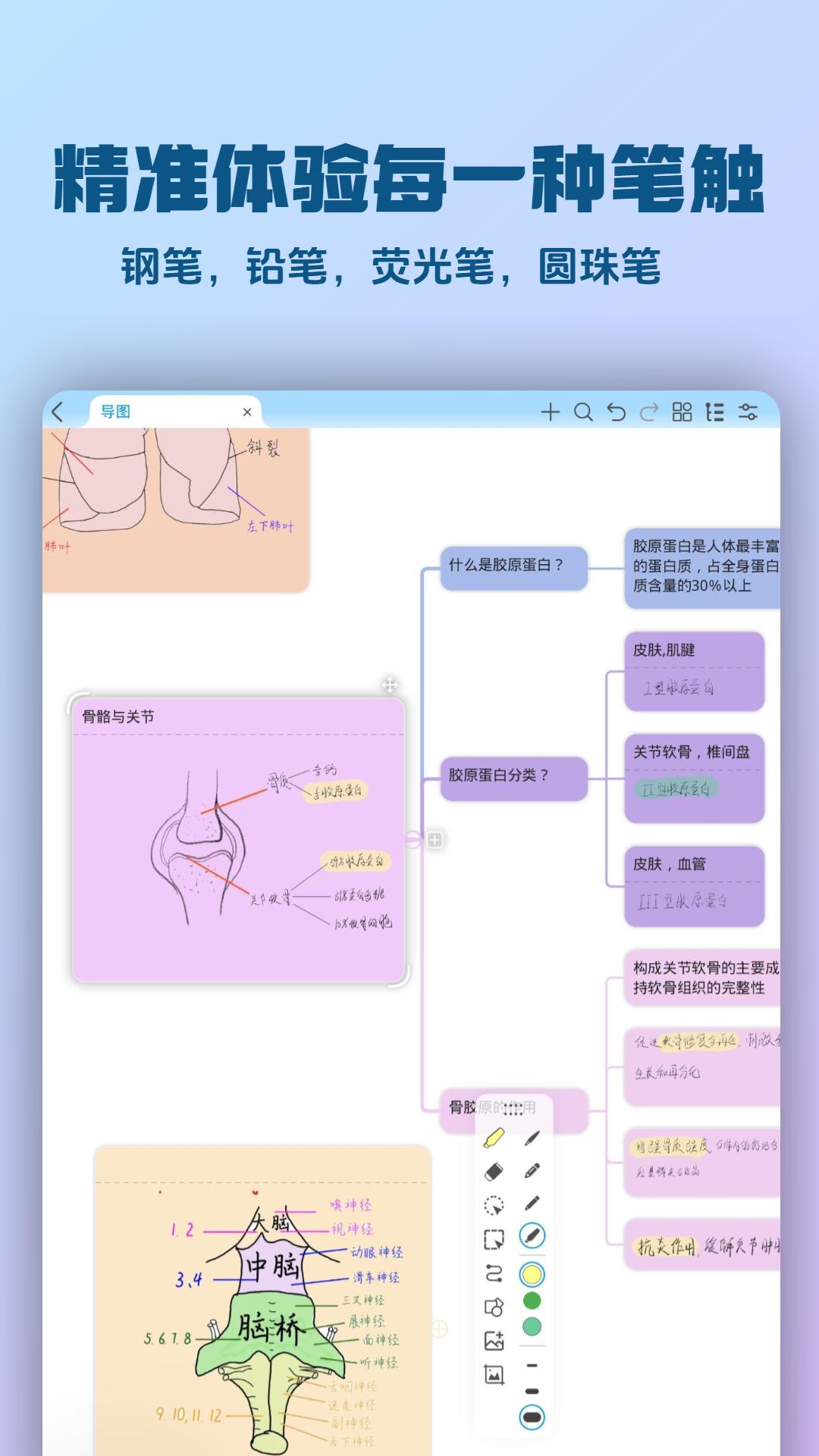 mindhive思维导图下载截图3