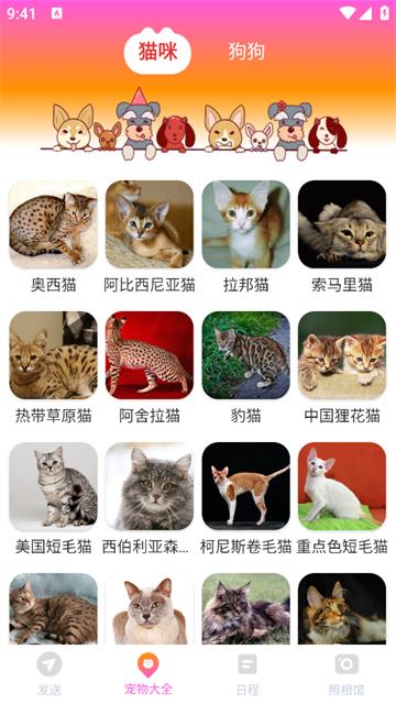 智能换机助手app