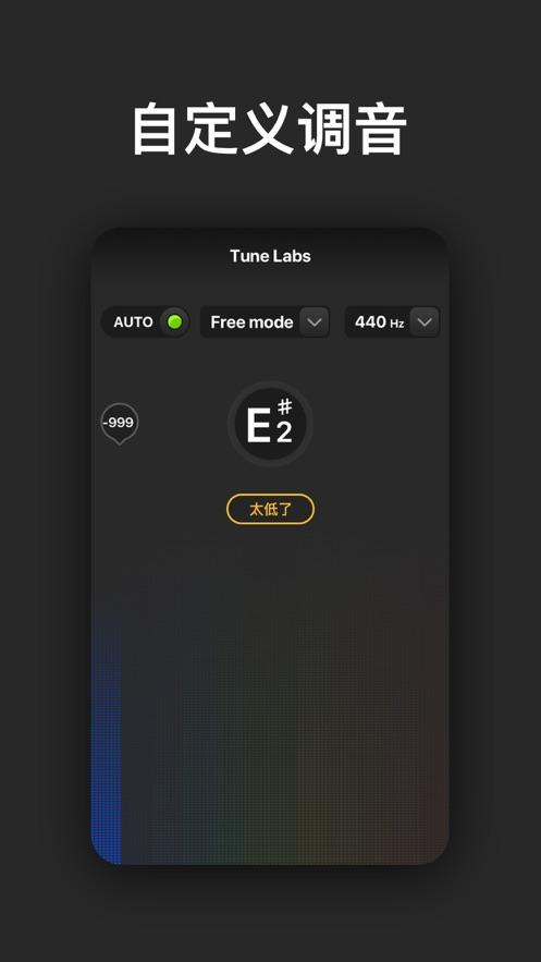 tune labs-全能调音表截图0