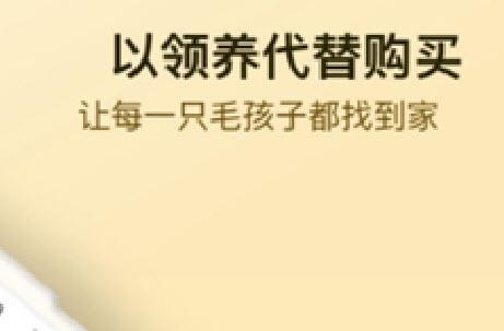 小萌猫app