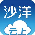 云上沙洋app