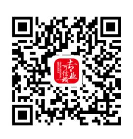 发展小e app