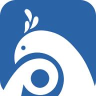 平安版纳公众版app