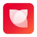 花瓣一对一聊天app