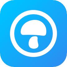 蘑菇伙伴app