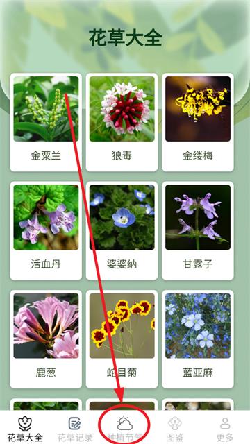 花草趣享官方版