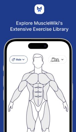 MuscleWiki官方下载