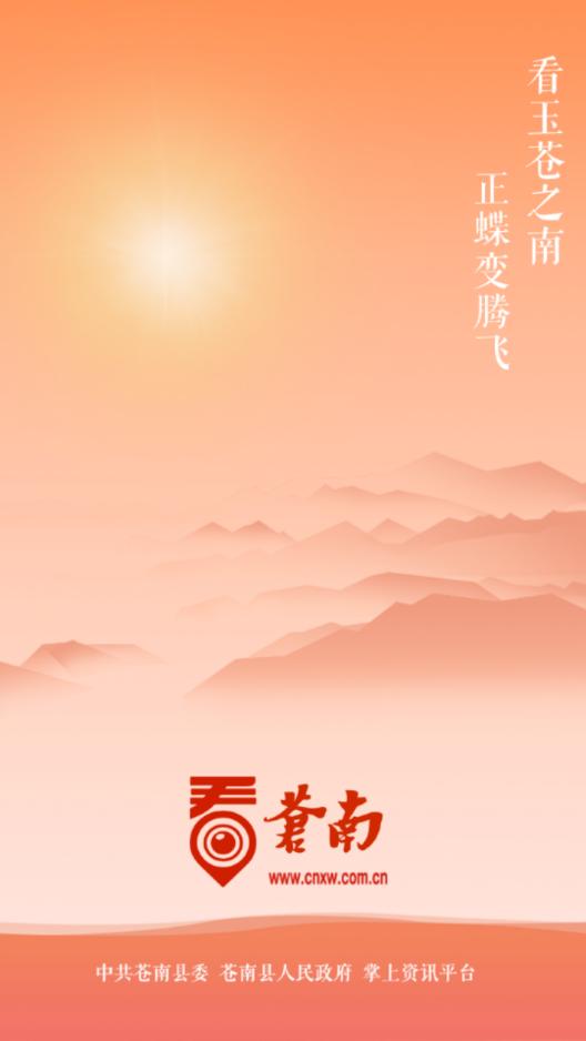 看苍南app下载截图0