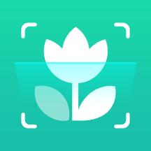 植物识别王app