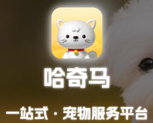 哈奇马app官方下载