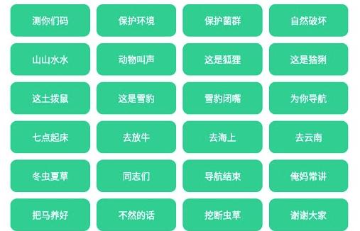 丁真盒最新版