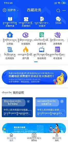 西藏政务服务平台