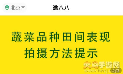 邀八八app