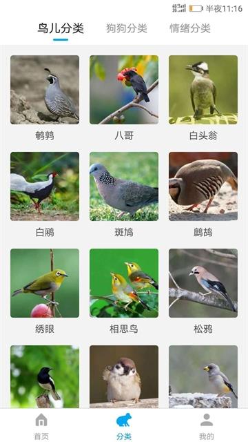 动物翻译器官方版