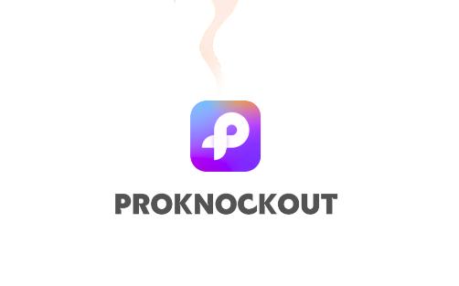 proknockout智能抠图