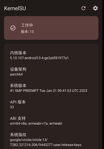 KernelSU app