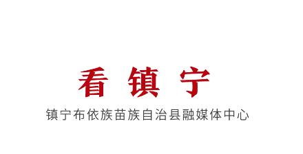 看镇宁app 看镇宁app