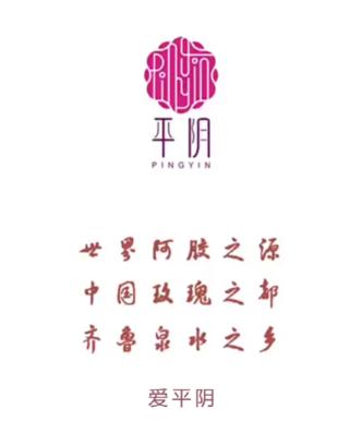 爱平阴app