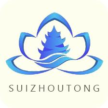 遂州通电子公交卡