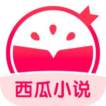 西瓜小说app
