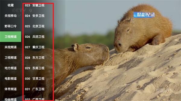 李大湿TV电视版(李大湿2K)(李大湿2K)