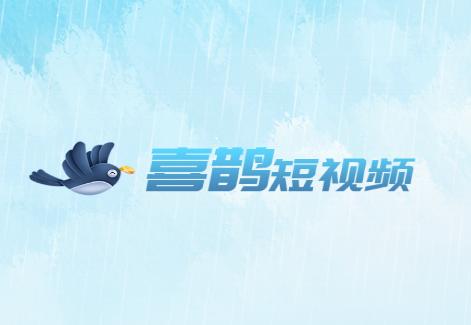 喜鹊短视频app