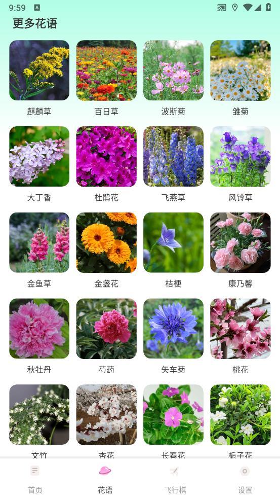 樱桃IMapp截图2