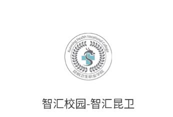 智汇昆卫app下载