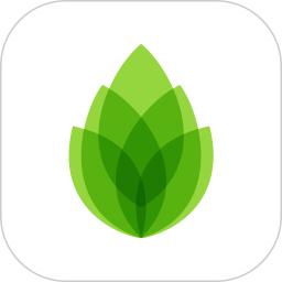芦笋app