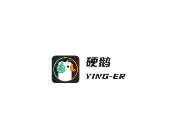硬鹅app