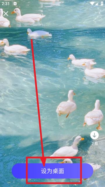 萌绘壁纸app