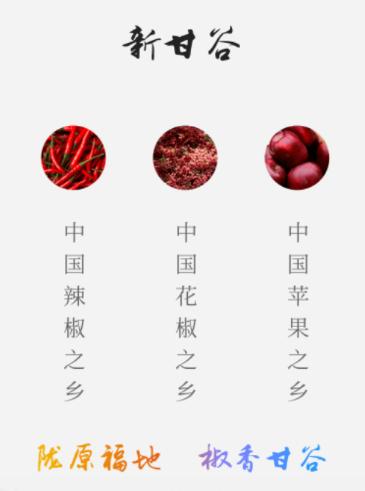 新甘谷APP 新甘谷APP