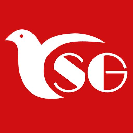 赛鸽头条下载安装
