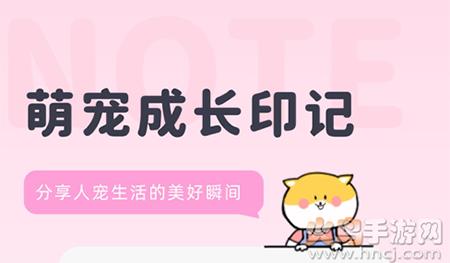宠布丁线上商城app