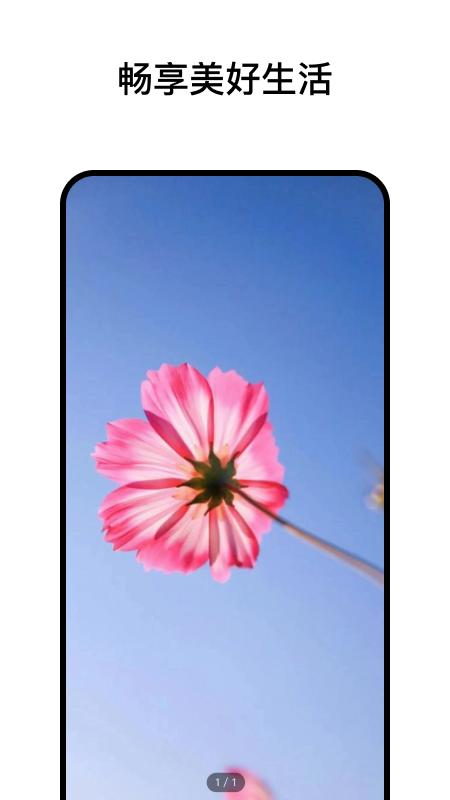 阅小花app截图2