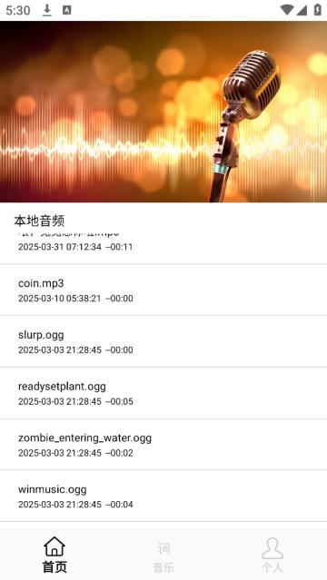 歌词适配极速版app