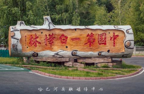 哈巴河好地方APP