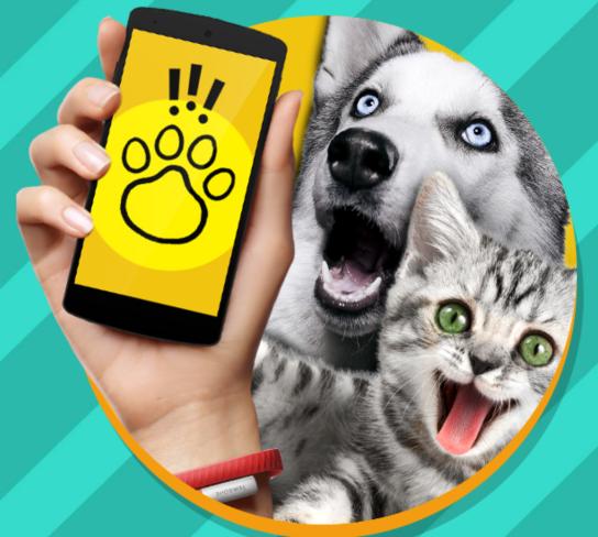 猫狗翻译器中文版(Pet Translator) 猫狗翻译器中文版(Pet Translator)