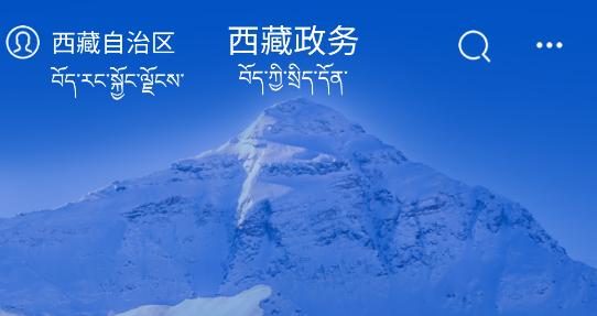 藏易通app(西藏政务)