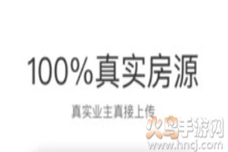 真二网软件