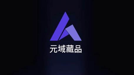 元域app