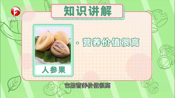 有影视TV版APK