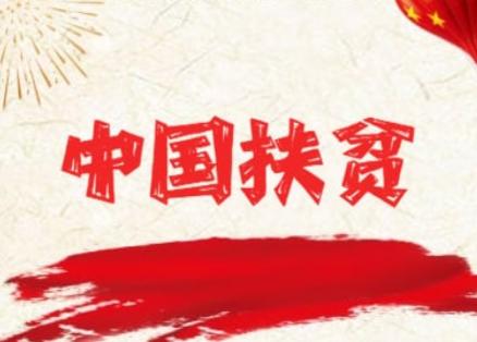 中华FP app 中华FP app