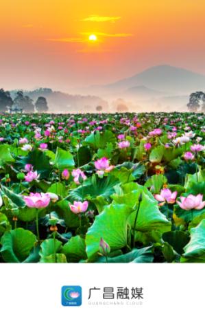 广昌融媒体APP 广昌融媒体APP