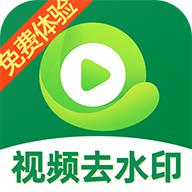 视频去除水印app