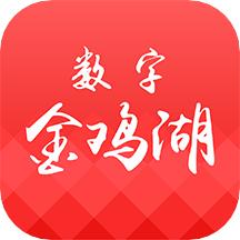 数字金鸡湖app