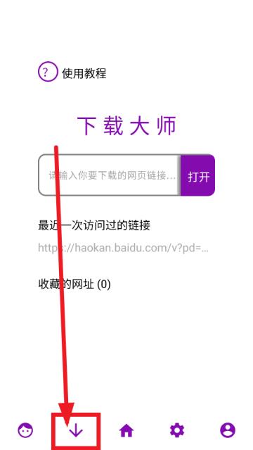 网页视频下载大师安卓版