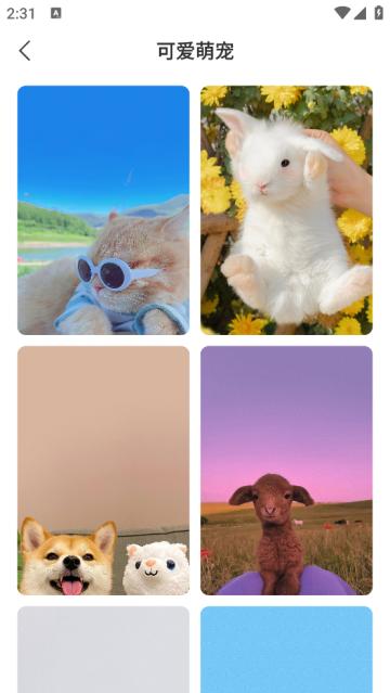 萌绘壁纸app