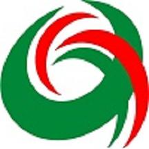 大美循化app